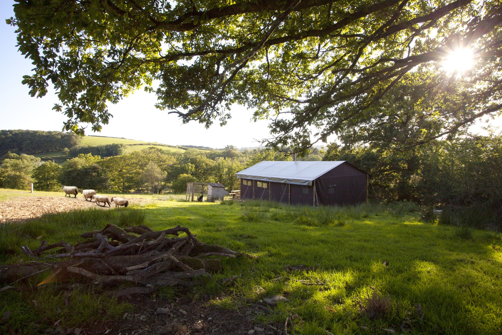 Manor Farm Alton - The Fun Of Farm Life!